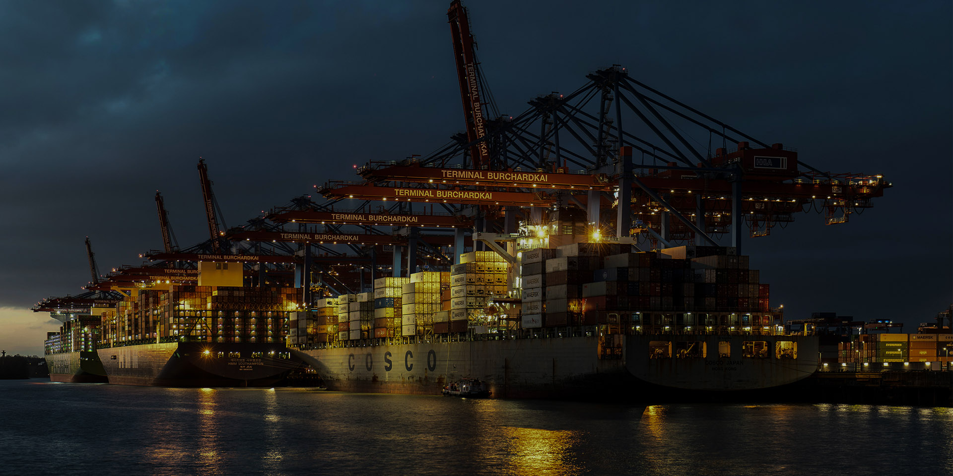 A multi-track platform company centered around professional capabilities